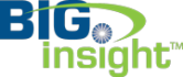BIGinsight logo
