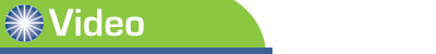 BIGresearch Contact Us
