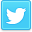 twitter icon